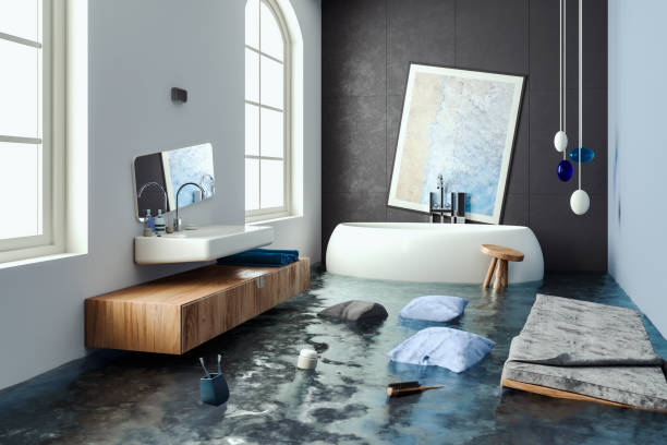 Best Local water damage restoration  in Clayco, MO