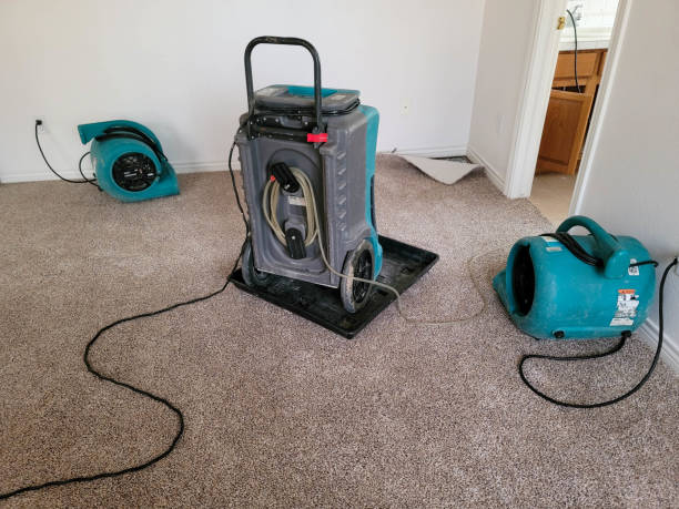 Best Professional water damage repair  in Clayco, MO