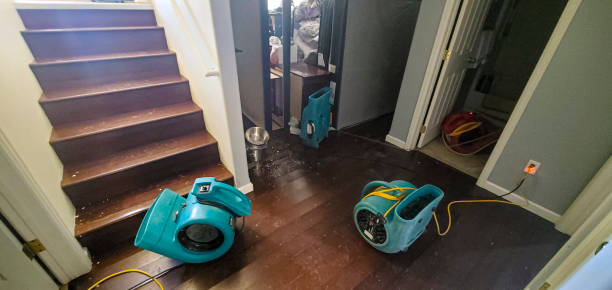 Best 24/7 water damage repair  in Clayco, MO
