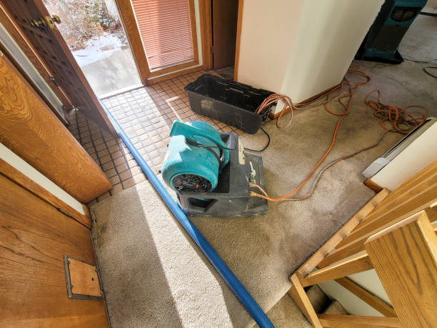 Best Fire Damage Restoration  in Clayco, MO