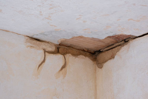 Best Flood restoration services  in Clayco, MO