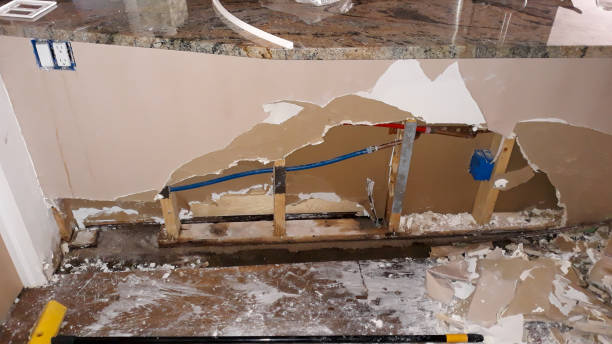 Best Local water damage restoration  in Clayco, MO