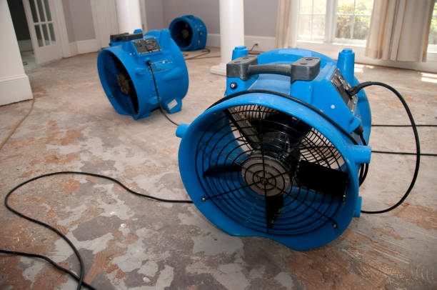 Best 24-hour water damage restoration  in Clayco, MO