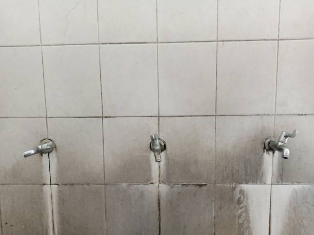 Best Flooded house restoration  in Clayco, MO