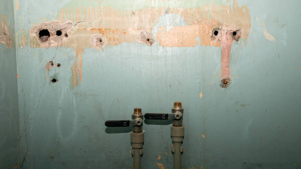 Best Water damage restoration cost  in Clayco, MO