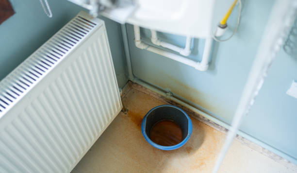 Best Basement water damage restoration  in Clayco, MO