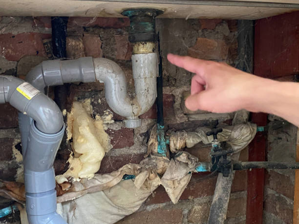 Best Water damage restoration services  in Clayco, MO