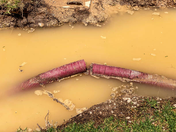 Best 24-hour water damage restoration  in Clayco, MO
