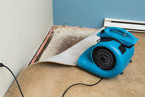 Best Flood damage cleanup  in Clayco, MO